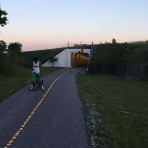 Meet your Posher, Murell